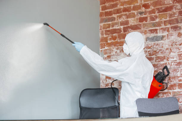 Best Post-Remediation Verification Testing  in Hampton, GA