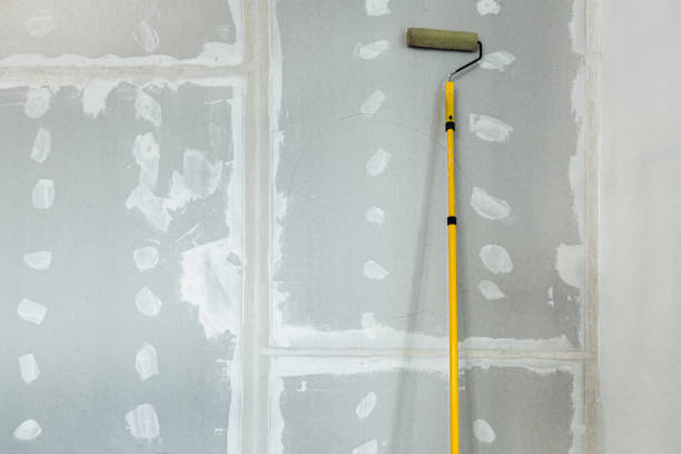 Best Forensic Mold Investigation  in Hampton, GA