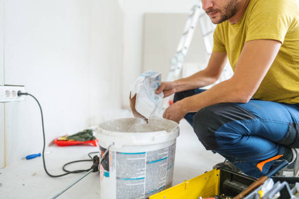 Best Mold Removal for HVAC Installations  in Hampton, GA