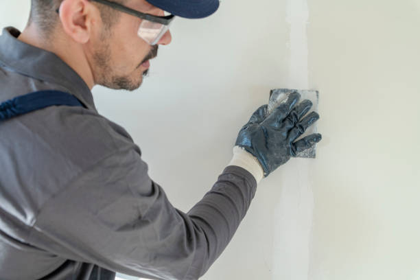 Best Mold Damage Restoration  in Hampton, GA
