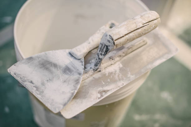 Forensic Mold Investigation in Hampton, GA