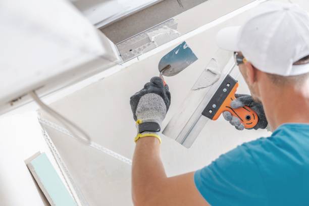 Best Mold Odor Removal Services  in Hampton, GA